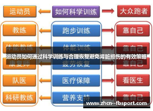 运动员如何通过科学训练与合理恢复避免肾脏损伤的有效策略